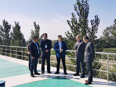 ������ʱ���������ǲ�(�й�����)������ҳ